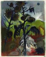 Sonnenblume I