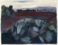 Steinhaufen vor Mohnfeld